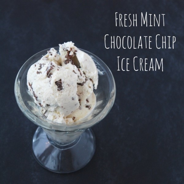 Make mint chocolate chip ice cream with fresh mint and high-quality chocolate chunks for an amazingly delicious dessert.