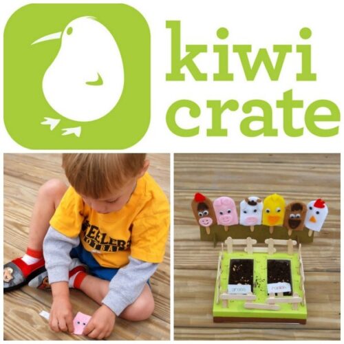 Summer Fun & Activities with Kiwi Crate