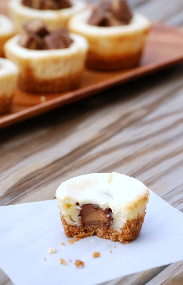 Mini cheesecakes with a fun little surprise inside: a mini peanut butter cup! Such a great idea for an easy dessert!