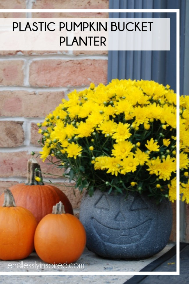 Jack-o-lantern planter with yellow mums and three small pumpkins