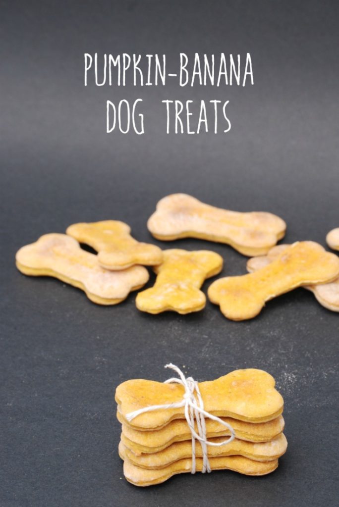 Make easy and delicious Pumpkin-Banana dog treats for your best furry friend!