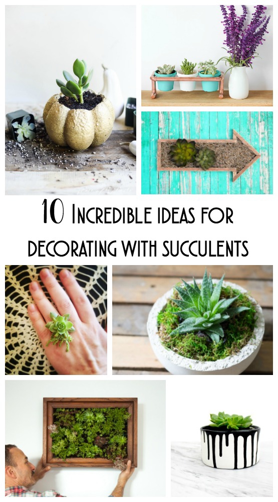 Decorating with succulents is such a huge trend right now. Here are 10 amazing ways that you can use succulents to liven up your home!