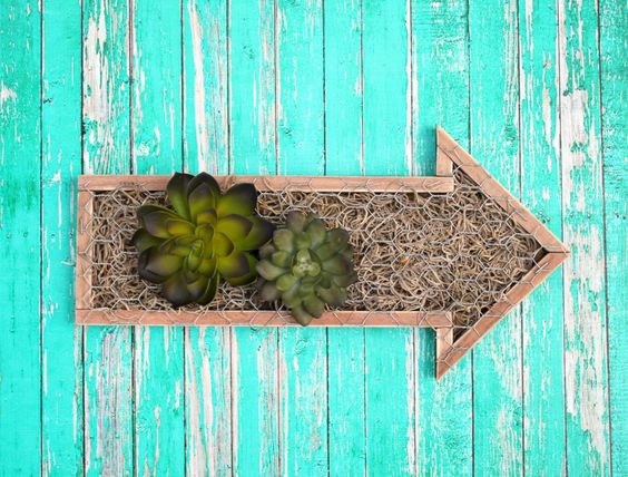 Decorating with succulents is such a huge trend right now. Here are 10 amazing ways that you can use succulents to liven up your home!
