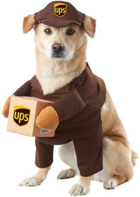 The 10 Best Dog Costumes | Endlessly Inspired