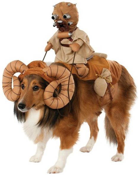 Dog Halloween costumes are my favorite. I can't take how hilarious some of these are!