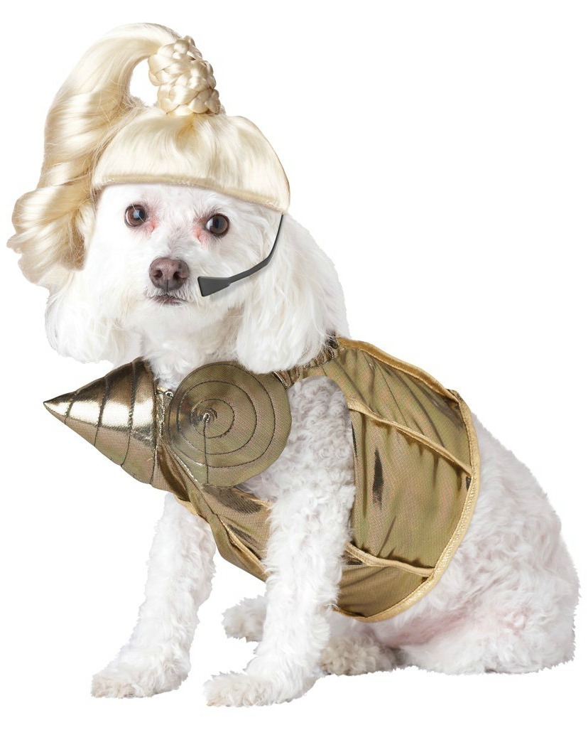 Dog Halloween costumes are my favorite. I can't take how hilarious some of these are!