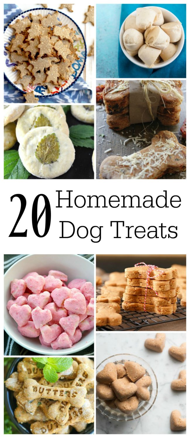 A collection of 20 fun homemade dog treat recipes.